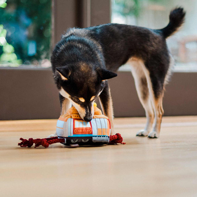 Hundespielzeug | San Pup-cisco Cable Car