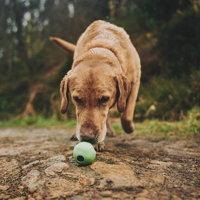 Hundespielzeug | Natural Rubber Ball