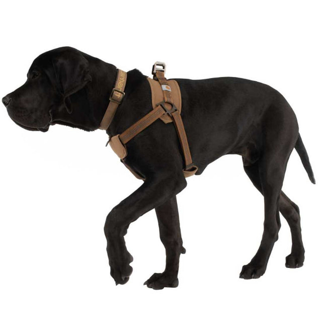 Hundegeschirr Training Harness