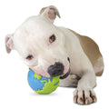 Planet Dog | Orbee-Tuff® Orbee Ball Glow/Orange - Hund von Eden