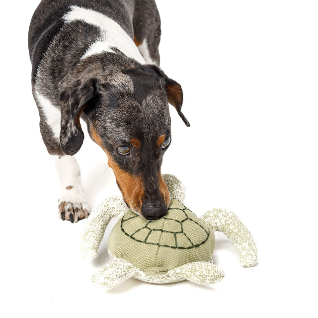 Hundespielzeug | Schildkröte, Enna