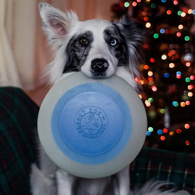 Hundespielzeug | Orbee-Tuff® Zoom Flyer, Glow-Blue