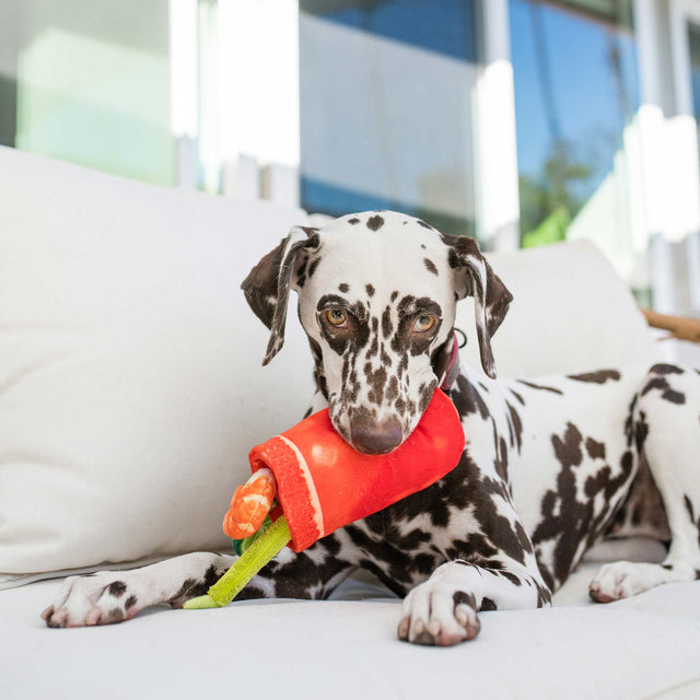 P.L.A.Y. Hundespielzeug, Buddy Mary Stoffspielzeug