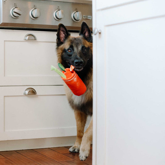 P.L.A.Y. Hundespielzeug, Buddy Mary Stoffspielzeug