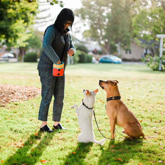 H&H Pets Leckerlibeutel Für Hunde – Mit Schultergurt, Kotbeutelspender, 12,7x17,8x5,1 Cm, Trainingszubehör