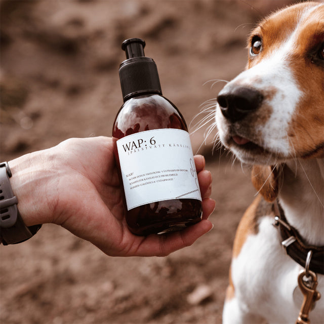 WAP:6 Hundeshampoo Sensitive
