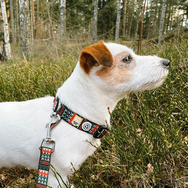 Hundehalsband | Woodland