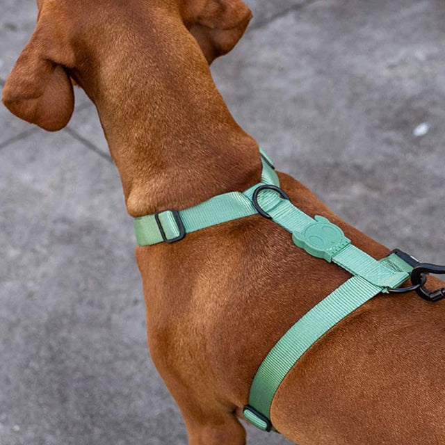 Hundegeschirr | H-Harness, Army Green