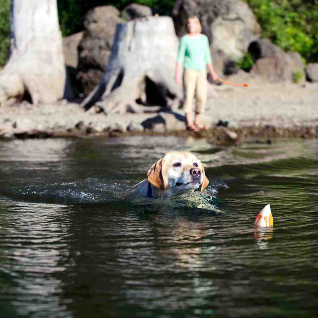 Hundespielzeug Amphibious | Duck Diver