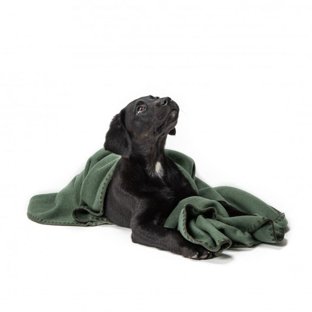 Hundedecke Soft Fleece | Dusty Green