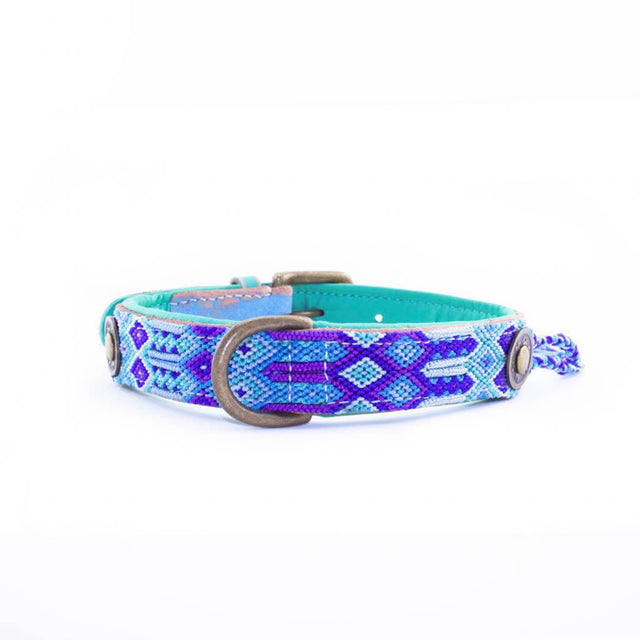 Hundehalsband | Blue
