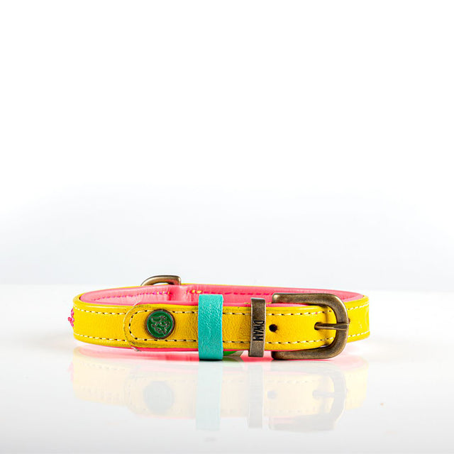 Dog with a Mission Hundehalsband | Jessy Hundehalsband