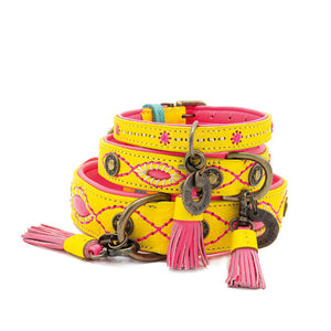 Dog with a Mission Hundehalsband | Jessy Hundehalsband