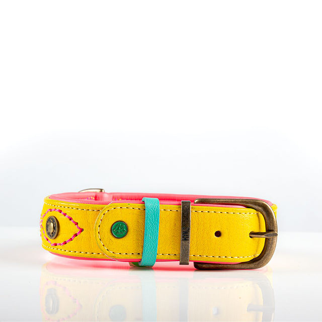 Dog with a Mission Hundehalsband | Jessy Hundehalsband