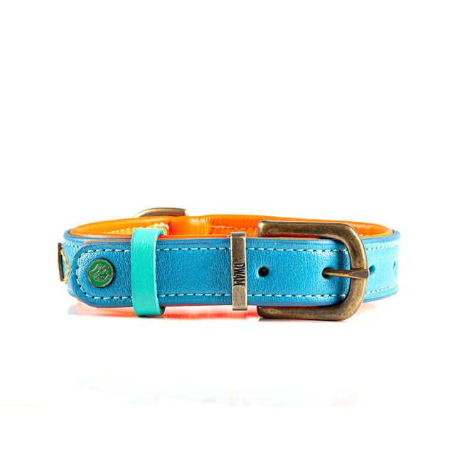 Dog with a Mission Hundehalsband | Jones Hundehalsband