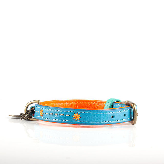 Dog with a Mission Hundehalsband | Jones Hundehalsband