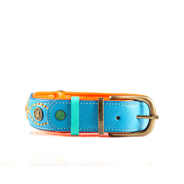 Dog with a Mission Hundehalsband | Jones Hundehalsband